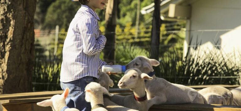 0b063da0-a140-11ec-b2d0-9fab291e2271