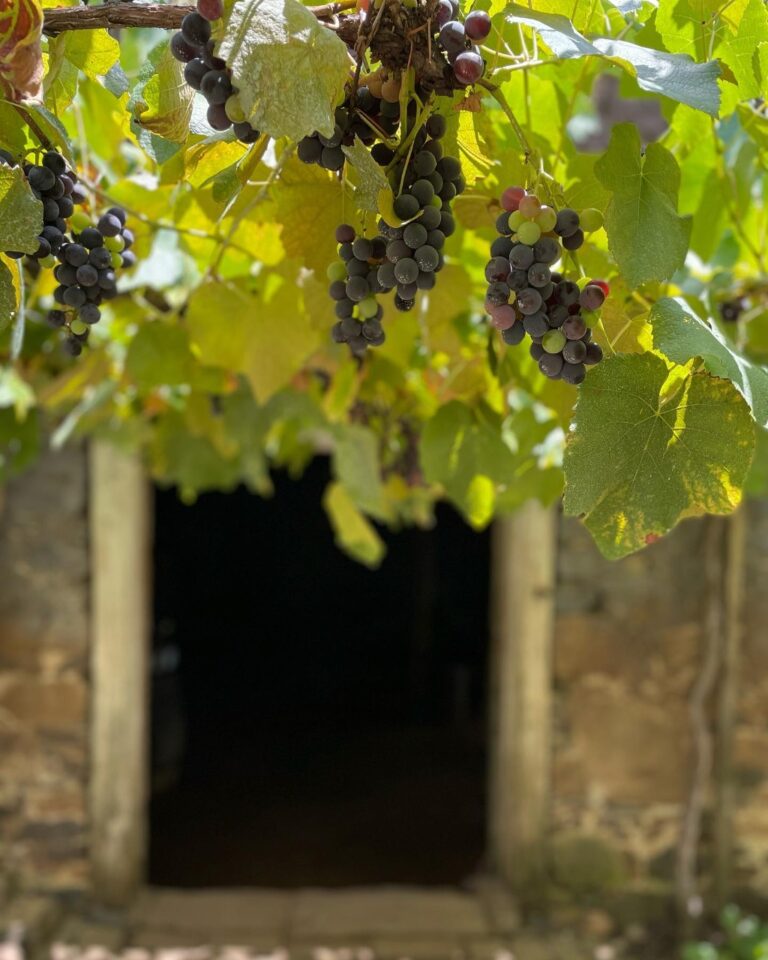 WhatsApp-Image-2022-02-28-at-16.09.59