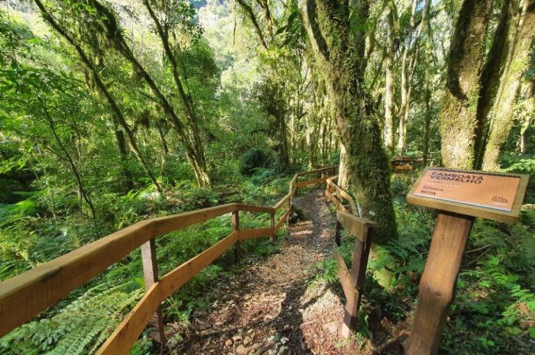 d9ef4596-158c-4440-8a0d-3303e3687398